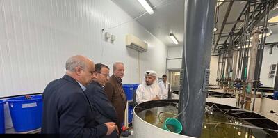  توسعه صادرات دام ایرانی و همکاری‌های علمی دامپزشکی میان تهران – دوحه