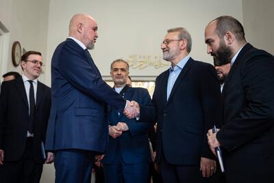  دیدار وزیر انرژی روسیه با علی لاریجانی؛ سرگئی تسیویلف بر تداوم همراهی مسکو با تهران در شرایط مختلف تاکید کرد