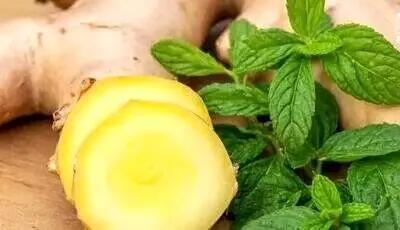  زنجبیل یا نعناع؛ کدام یک برای رفع حالت تهوع بهتر است؟