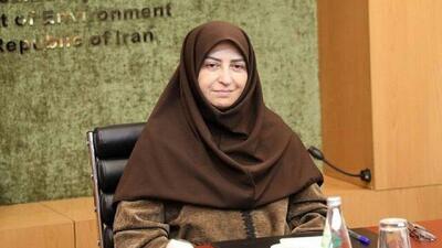  پیشنهاد محیط زیستی معاون رییس جمهوری به دانشگاه‌ها