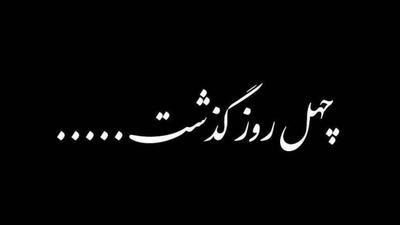  فیلم/ چهلمین روز شهادت جانباختگان دی ماه