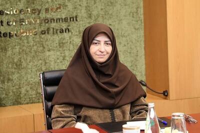  پیشنهاد محیط زیستی معاون رییس جمهوری به دانشگاه‌ها