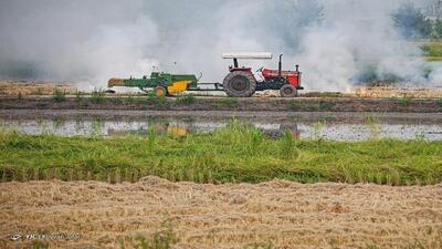  بارش استان تهران ۶۰ درصد کمتر از نرمال است