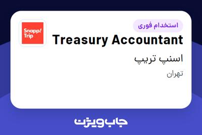  استخدام Treasury Accountant در اسنپ تریپ