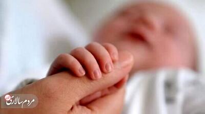  مناطق مرفه تهران، رکورددار کمترین میزان فرزندآوری - مردم سالاری آنلاین