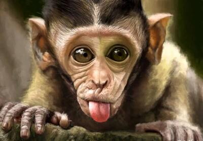  فیلم/ بازی کردن میمون با ورژن پارچه‌ای خودش!