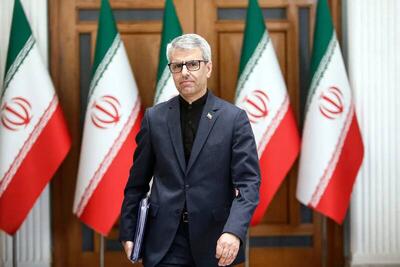  فیلم/ بقائی: گفتگوها تا حصول نتیجه نهایی ادامه می‌یابد