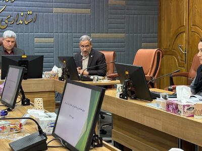  رسولی: گزارش‌دهی دستگاه‌ها شرط برنامه‌ریزی دقیق برای سالمندان است