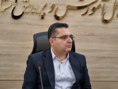  رضایی: رسیدگی به تخلفات مدارس غیردولتی با حفظ حق دفاع انجام می‌شود