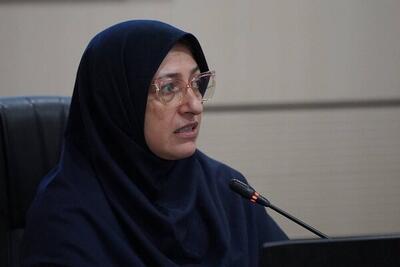  ترابی: اقدامات انجام‌شده در حوزه آلودگی هوا تازه ابتدای راه است