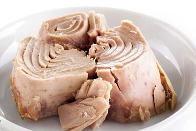  تن ماهی هم لاکچری شد