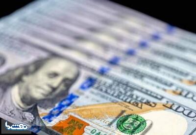  رشد زیرپوستی دلار رسمی در کانال ۱۳۰ هزار تومان | نفت ما