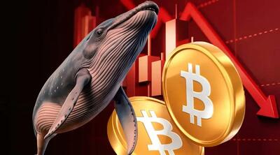  احتمال ریزش بیشتر بیت‌کوین قوت گرفت؛ فروش ۵ هزار BTC توسط نهنگ بزرگ بازار!