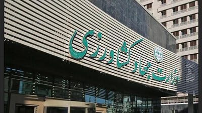  چالش تازه بر سر تصمیم وزارت جهاد کشاورزی / هشدار درباره ایجاد رانت جدید در واردات کالاهای اساسی