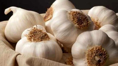  دستور تهیه سیر له‌ شده با عسل | اکسیر طبیعی سلامتی / فیلم