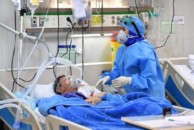  ایده‌های پرستاری باید به دستورالعمل اجرایی تبدیل شود