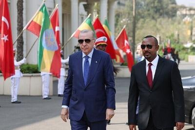  اردوغان: تصمیم اسراییل برای به رسمیت شناختن سومالی‌لند بی‌فایده است