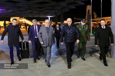 ورود وزیر انرژی روسیه به تهران