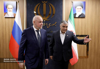  دیدار وزیر نفت ایران و وزیر انرژی روسیه