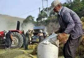  مستمری، عیدی و بسته معیشتی همزمان به روستاییان پرداخت می شود