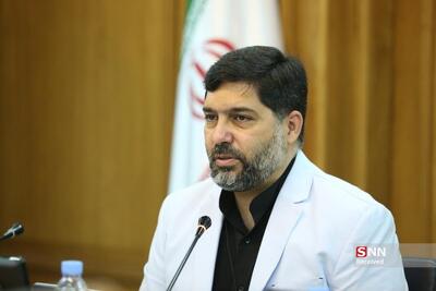  نادعلی: نگاه سلطنت‌طلبان به ایران دشمنانه است