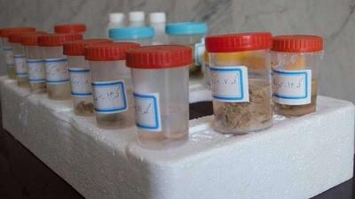  ارسال ۵۵ نمونه بیولوژیک جانوری استان اردبیل به بانک ژن شمال غرب کشور