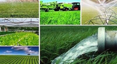  اصلاح الگوی کشت؛ راهبرد کلیدی استان مرکزی برای مقابله با خشکسالی و تضمین امنیت غذایی