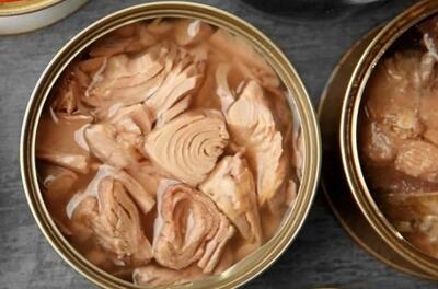  تن ماهی هم لاکچری شد