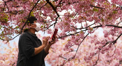  ثبت رکورد ۷۰ میلیون نفر شب اقامت گردشگران در مازندران