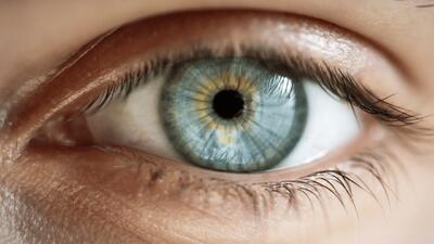  دانشمندان معمای بینایی انسان را حل کردند