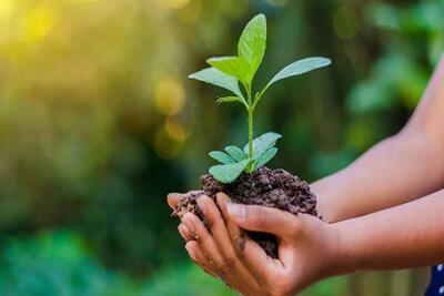  مصرف ایرانیان سه برابر ظرفیت زیستی کشور است