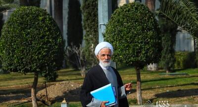  انصاری: مستندسازی خسارات حوادث دی‌ماه در دستور کار دولت است