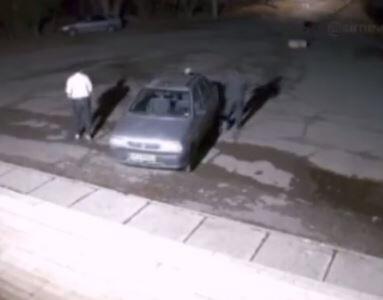  حمله گرگ به یک دانشجو در دانشگاه زنجان