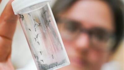  گرمایش زمین و هشدار شیوع یک عفونت ویروسی در سراسر اروپا