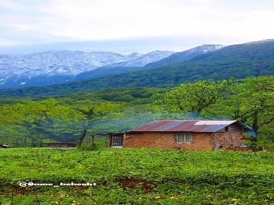  در قلب بهشت جنگل های هیرکانی درفک جان