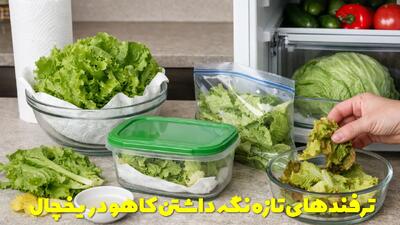  روش ها و ترفندهای تازه نگه داشتن کاهو در یخچال برای مدت طولانی