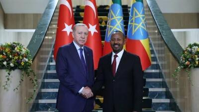  اردوغان به رسمیت شناختن سومالی‌لند توسط اسرائیل را زیر سوال برد