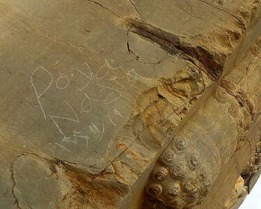  جدیدترین خبر درباره یادگاری‌ پویا و نادیا روی دروازه ملل تخت جمشید