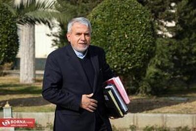  صالحی امیری: مناطق آزاد ظرفیت‌های خوبی برای گردشگری دارند