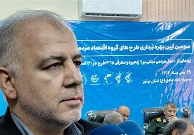  رشد 2500 درصدی طرح‌های اقتصاد مردمی در کشور