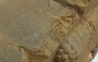  یادگاری‌نویسی از دروازه ملل تخت جمشید پاک شد