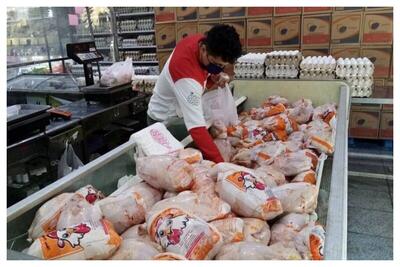  قیمت جدید مرغ اعلام شد+ جزئیات