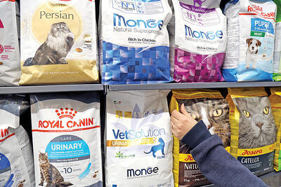  سایه قاچاق بر بازار غذای حیوانات