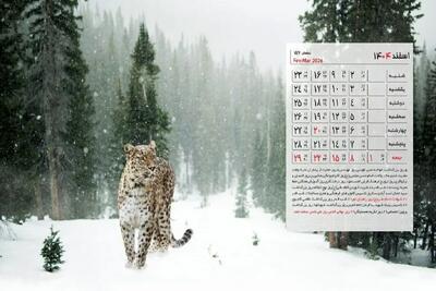  تقویم مناسبت‌ها و تعطیلی‌های اسفند ۱۴۰۴