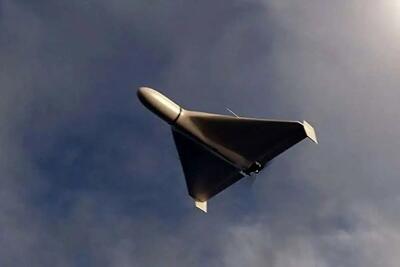  از سلاح‌های عجیب ناوکُش ایرانی چه می‌دانیم؟