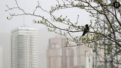  شاخص آلودگی هوای تهران امروز چهارشنبه ۲۹ بهمن / پایتخت در محاصره ذرات معلق