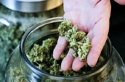  کشف ۴۷ کیلوگرم مواد مخدر گراس در بندرعباس