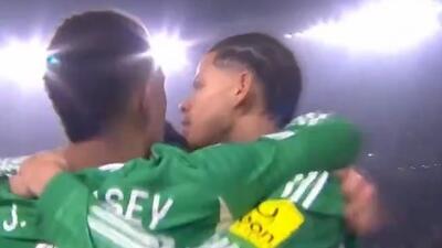  گل ششم نیوکاسل به قره باغ (مورفی)