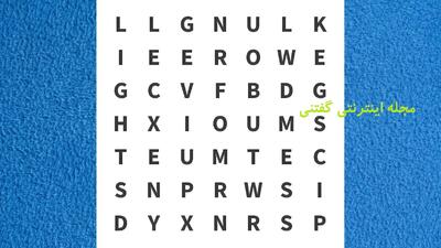  اگر بتوانید کلمه EXCEL را در این جدول کلمات 8 ثانیه ای پیدا کنید، ذهنی تیز و باهوش دارید