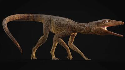  تمساح ماقبل تاریخی که شبیه سگ شکاری بوده است